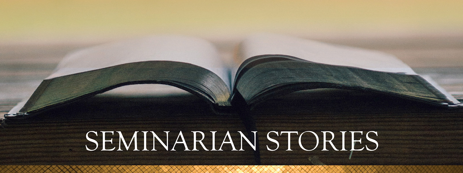 Seminarian Stories